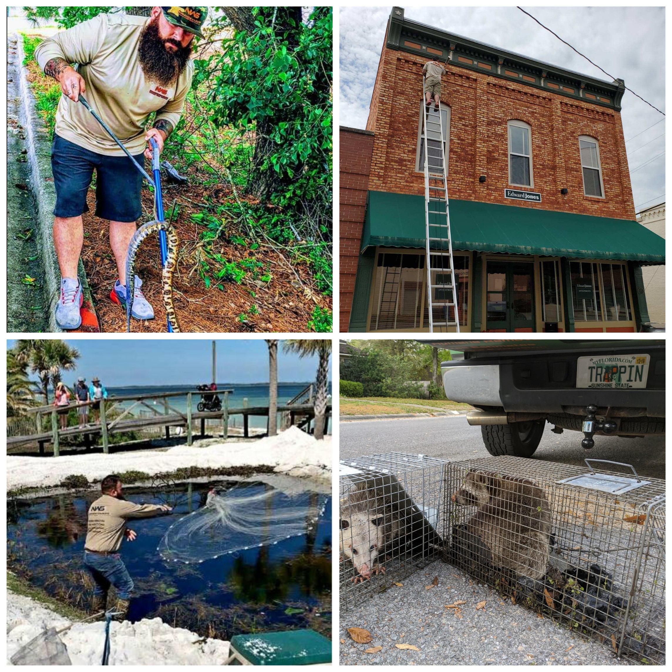 Nuisance Wildlife Services trapping pests