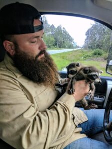 Man holding 2 baby raccoons