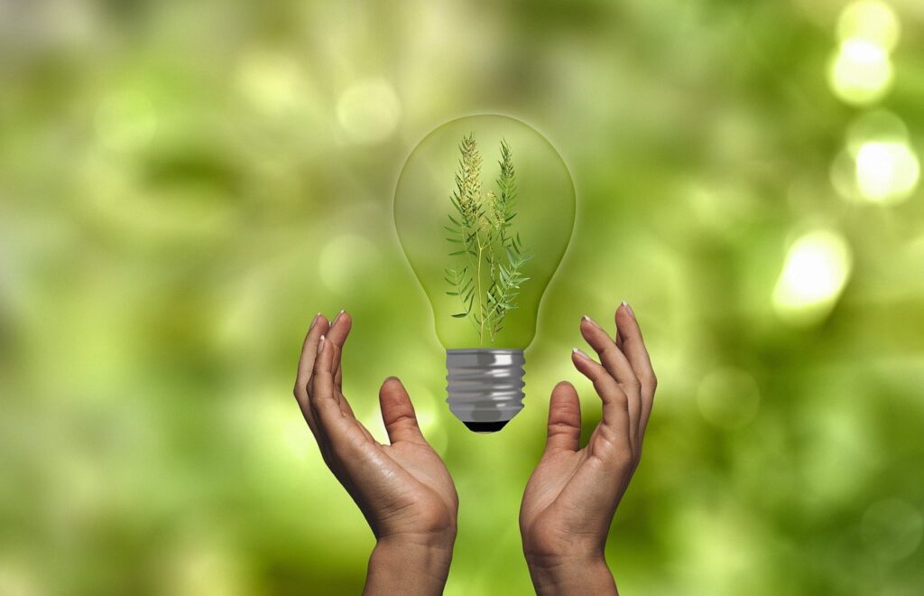 Light bulb with tree inside